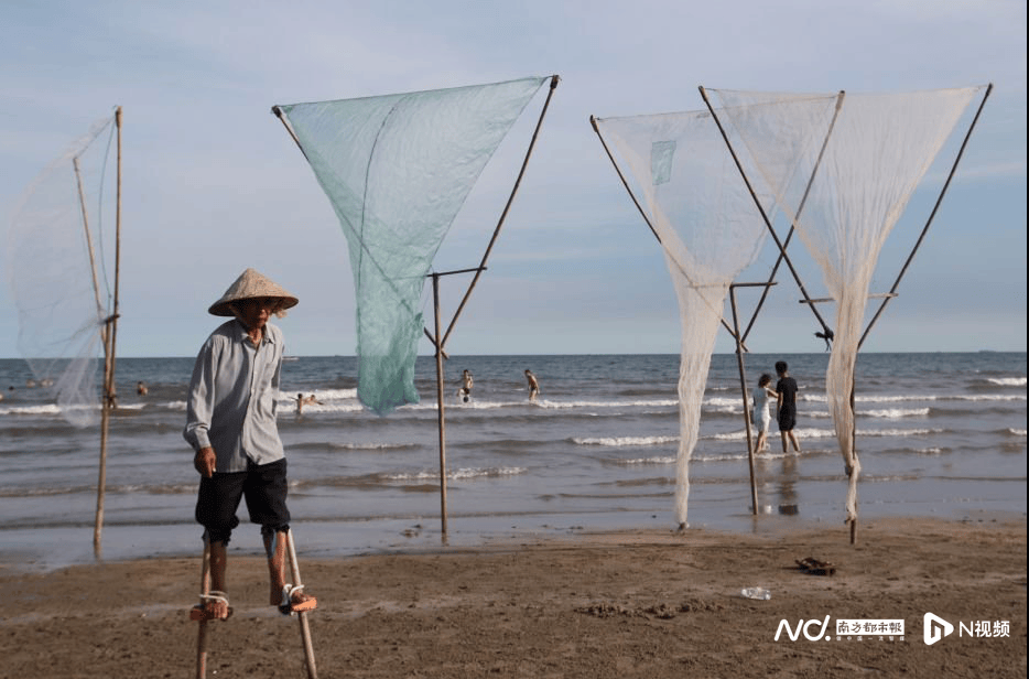 外交部赵立坚点赞湛江：渔网起落间<strong></p>
<p>炒币大赛</strong>，满舱鲜活载着晨光归来