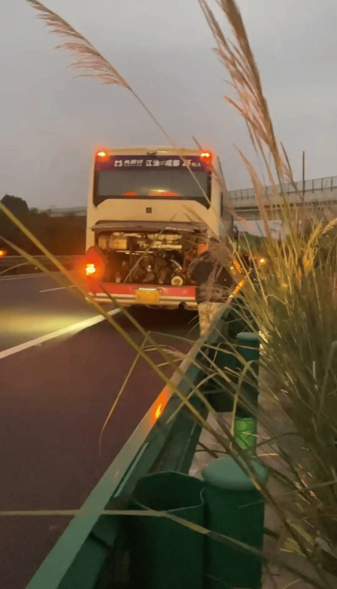 48名乘客被困高速2.5小时<strong></p>
<p>炒币大赛</strong>!运营公司致歉