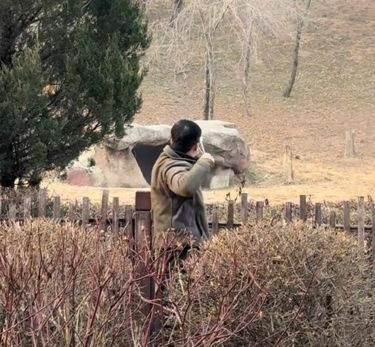 沈阳一男子动物园内用弹弓射老虎<strong></p>
<p>交易台</strong>,目击者称其“填装了弹丸”,打完后老虎爬起来了,园方:正在核实情况