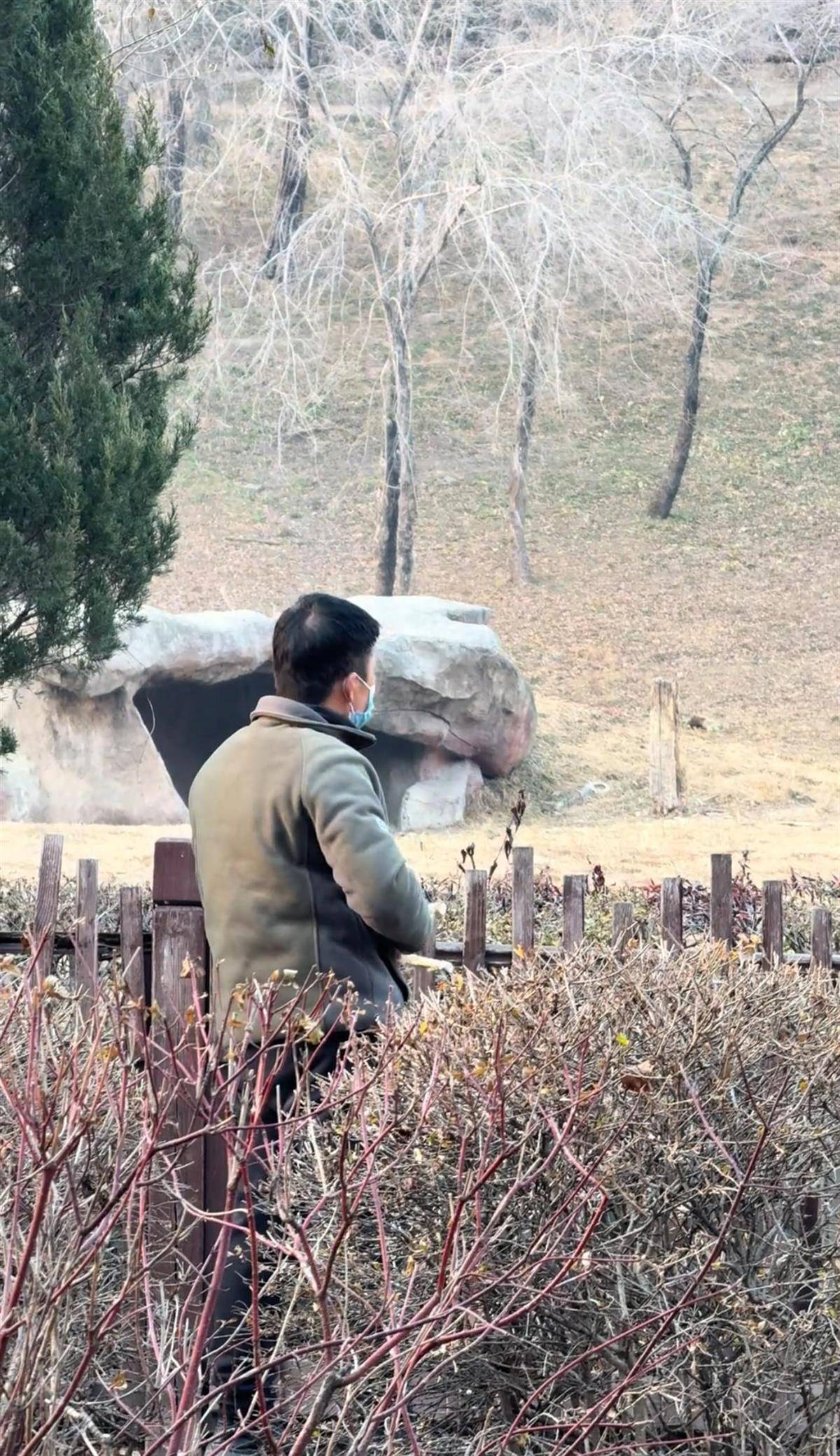 沈阳一男子动物园内用弹弓射老虎<strong></p>
<p>交易台</strong>,目击者称其“填装了弹丸”,打完后老虎爬起来了,园方:正在核实情况