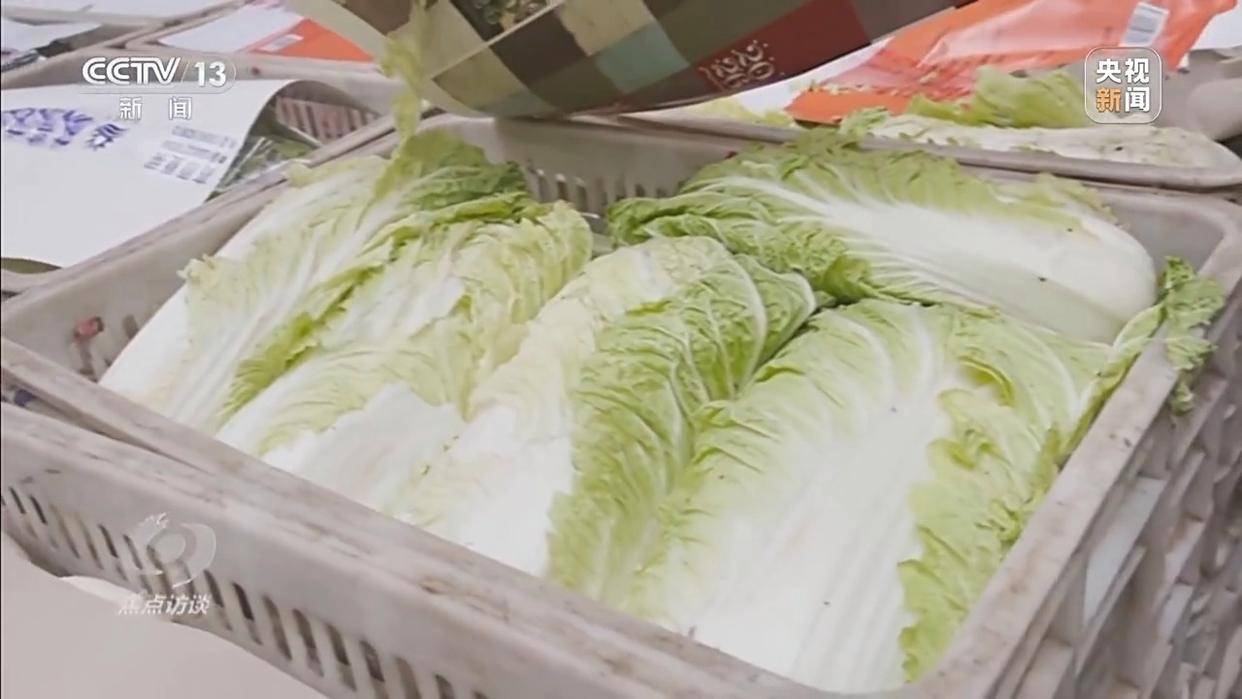 单棵售价超百元<strong></p>
<p>币圈的社区</strong>，起底“套牌白菜”背后的销售套路