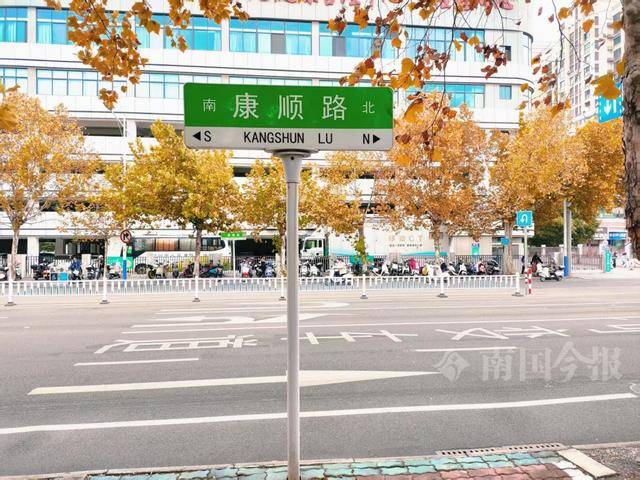 满目金黄<strong></p>
<p>炒币经历</strong>！柳州法国梧桐迎来最佳观赏期