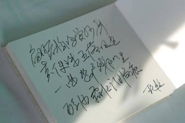 何晴之子追思:妈妈很喜欢雪<strong></p>
<p>币网行情app</strong>,北京这场雪好像是为她而下