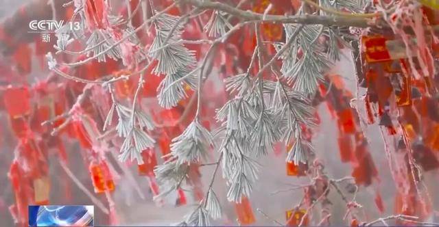 我国已经进入拉尼娜状态<strong></p>
<p>币网行情app</strong>，专家：可能出现冬春连旱