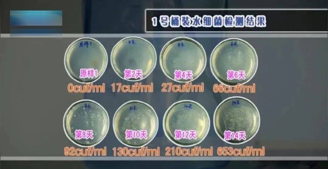 6种东西<strong></p>
<p>币网行情app</strong>，没过保质期就“坏了”？赶紧看看，别拿全家健康开玩笑