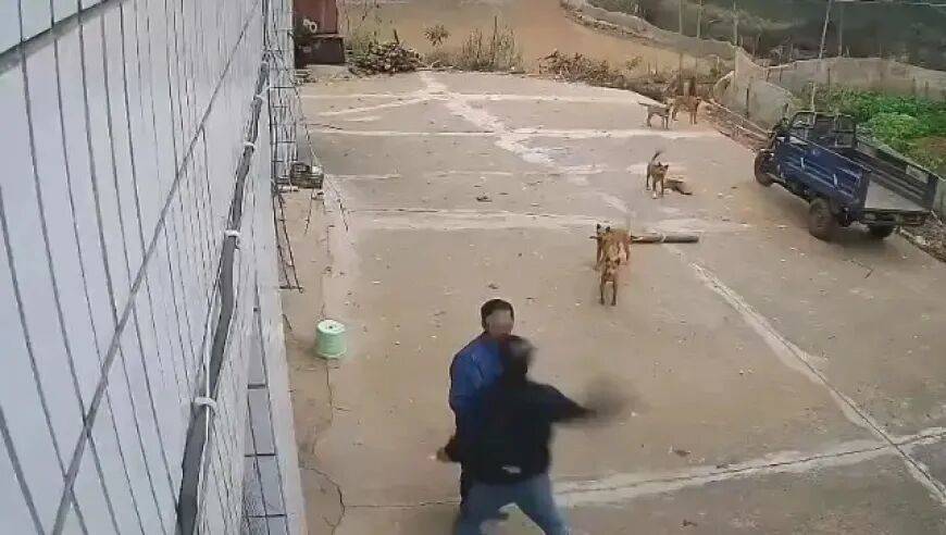 男子家门口吃橘子被邻居一拳打昏<strong></p>
<p>炒币爆仓</strong>，警方通报：因养狗问题起冲突，均有受伤