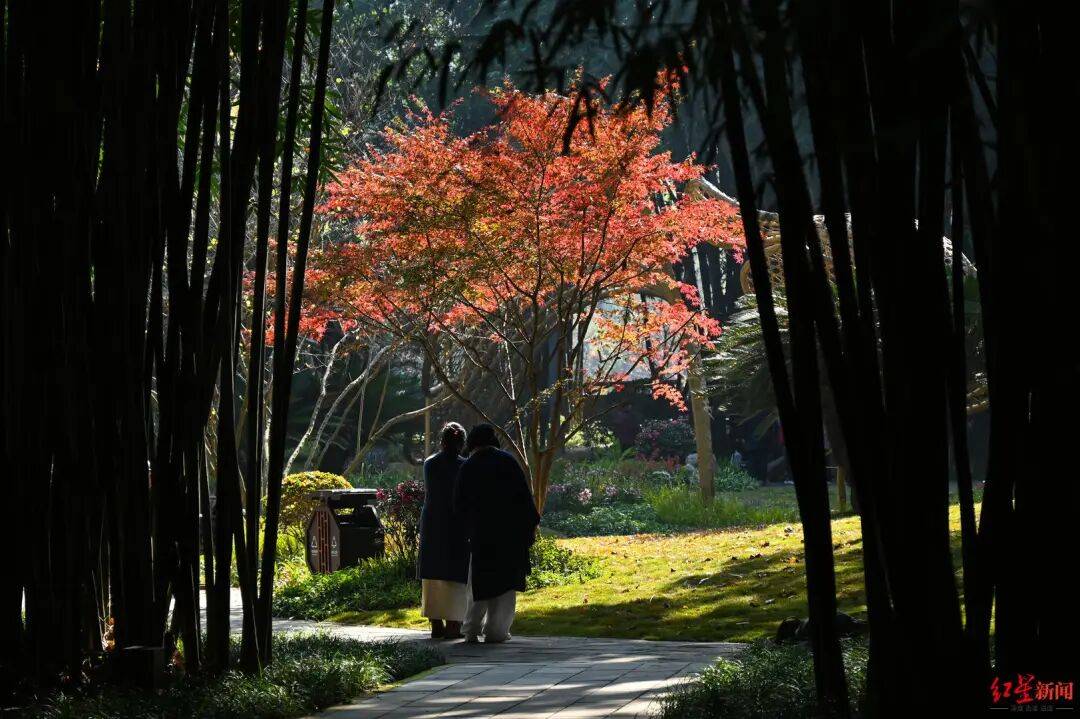 我国已进入拉尼娜状态<strong></p>
<p>炒币看盘</strong>！四川今冬或“前暖后冷”