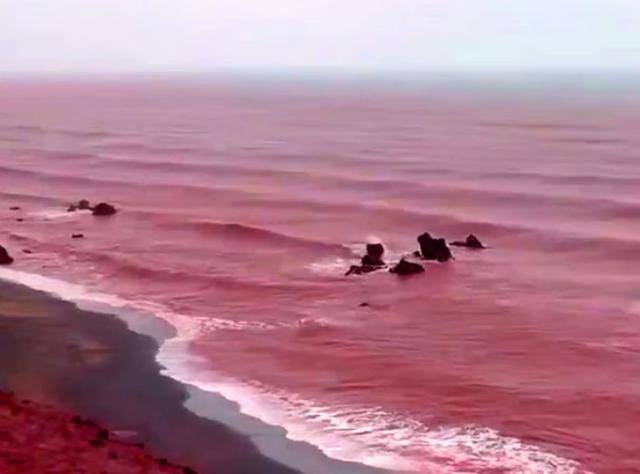 罕见！伊朗霍尔木兹岛遭遇强降雨<strong></p>
<p>币圈造富神话</strong>，部分海域变成“血色海洋”