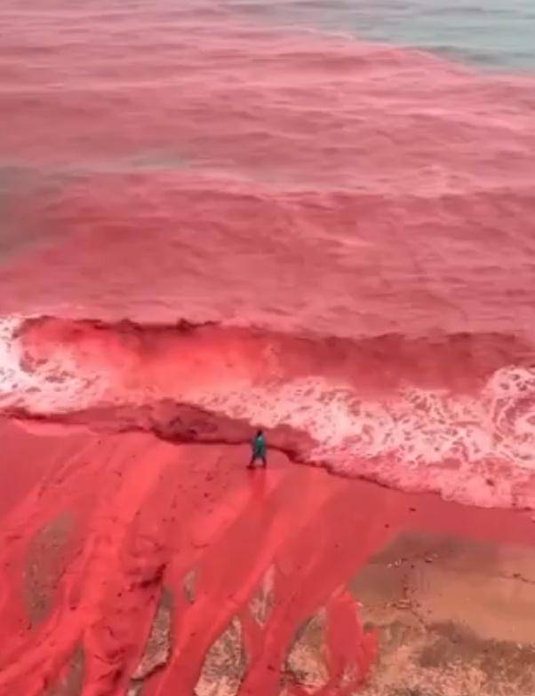 罕见！伊朗霍尔木兹岛遭遇强降雨<strong></p>
<p>币圈造富神话</strong>，部分海域变成“血色海洋”