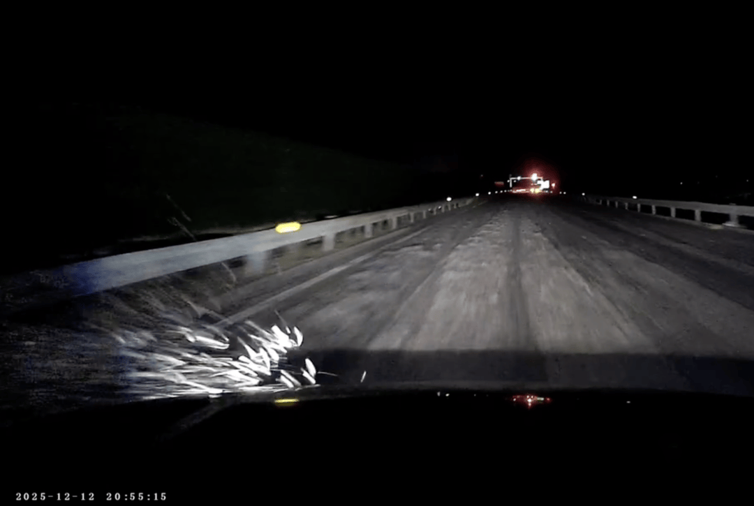 紫牛头条｜40余车辆遭高速海鲜废料“臭袭”，交警称“非交通事故”，车主维权陷两难