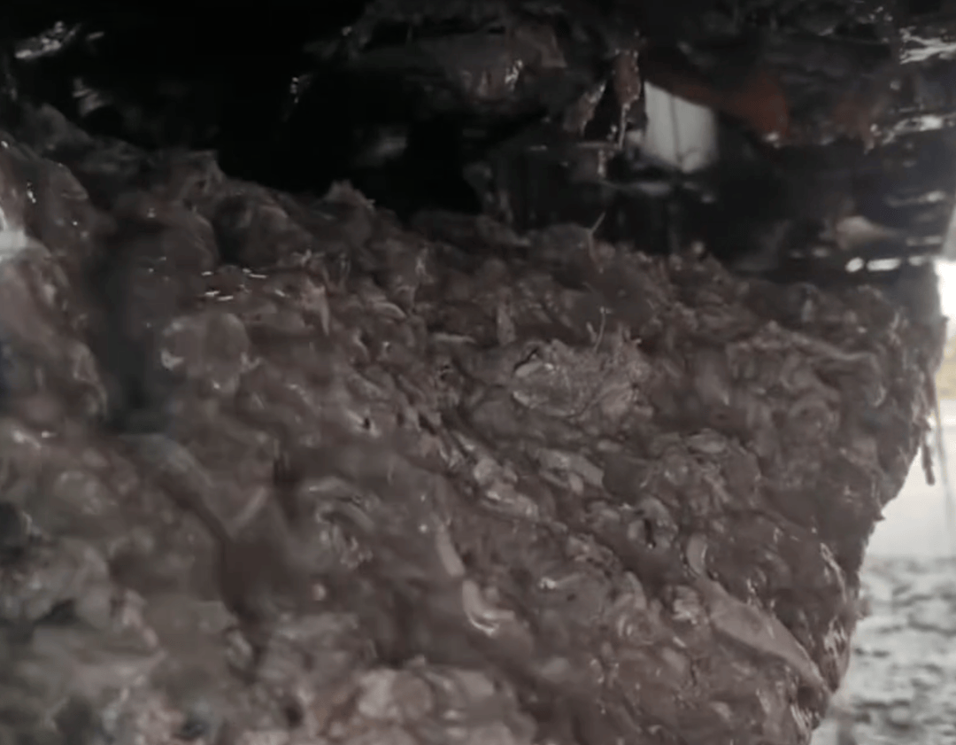 紫牛头条｜40余车辆遭高速海鲜废料“臭袭”<strong></p>
<p>币圈造富神话</strong>，交警称“非交通事故”，车主维权陷两难