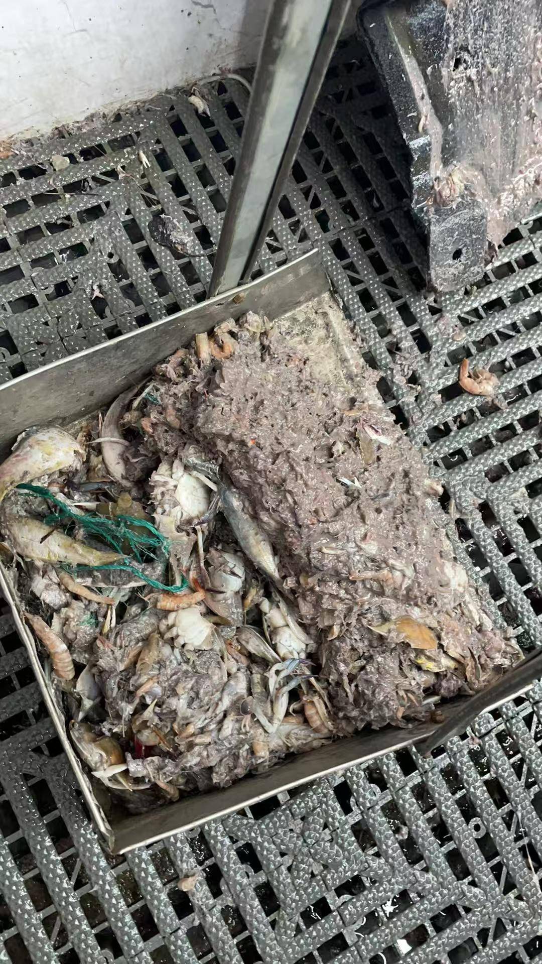 紫牛头条｜40余车辆遭高速海鲜废料“臭袭”<strong></p>
<p>币圈造富神话</strong>，交警称“非交通事故”，车主维权陷两难