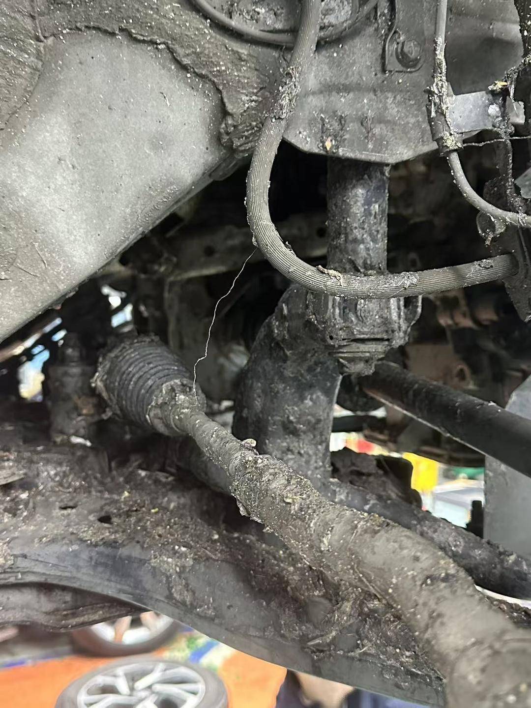 紫牛头条｜40余车辆遭高速海鲜废料“臭袭”<strong></p>
<p>币圈造富神话</strong>，交警称“非交通事故”，车主维权陷两难