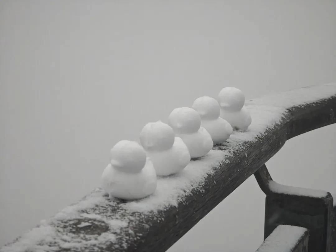 直降10℃<strong></p>
<p>蘑菇币</strong>!南京又要下雪了