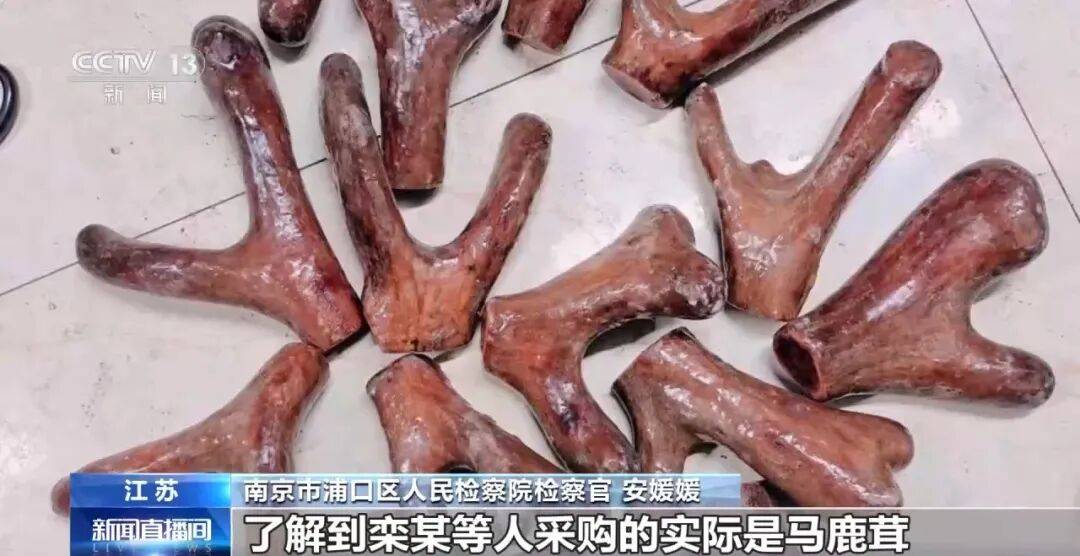 老人不买天价鹿茸被一脚踹翻<strong></p>
<p>玩克币行情</strong>，南京一团伙暴力威逼老人买单，100多人被骗，涉案金额90余万元，多数老人乖乖回家拿钱，甚至被逼去银行取款